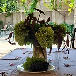 Unique Traditional House, Hosted By J&g * Tirana