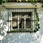 Unique Traditional House, Hosted By J&g