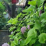Unique Traditional House, Hosted By J&g Тирана