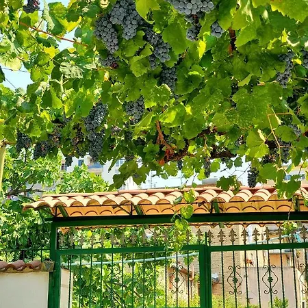 Villa Unique Traditional House, Hosted By J&g