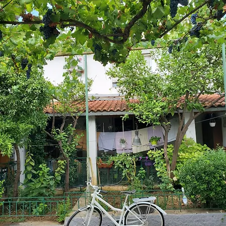 Unique Traditional House, Hosted By J&g