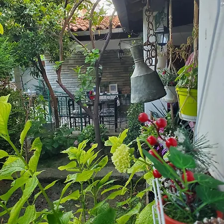 Unique Traditional House, Hosted By J&g Тирана