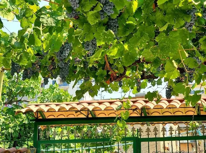 Villa Unique Traditional House, Hosted By J&g