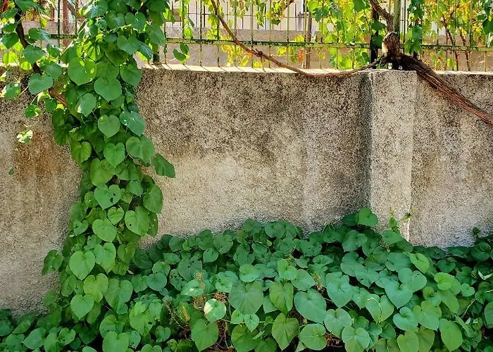 Unique Traditional House, Hosted By J&g