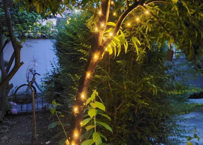 Unique Traditional House, Hosted By J&g Villa Tirana