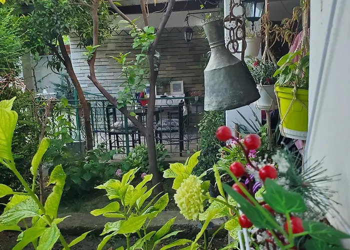 Unique Traditional House, Hosted By J&g Tirana